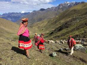 Avelina, Juana, Beneta, and Benedicto with alpacas