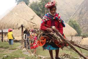 Bringing firewood