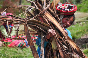 Juliana clears stripped bark