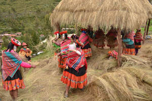 Preparing thatch