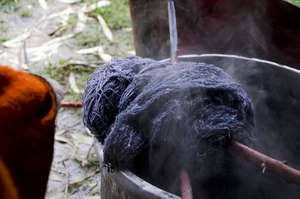 Purple from cochineal