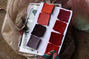 Natural dyes color swatches