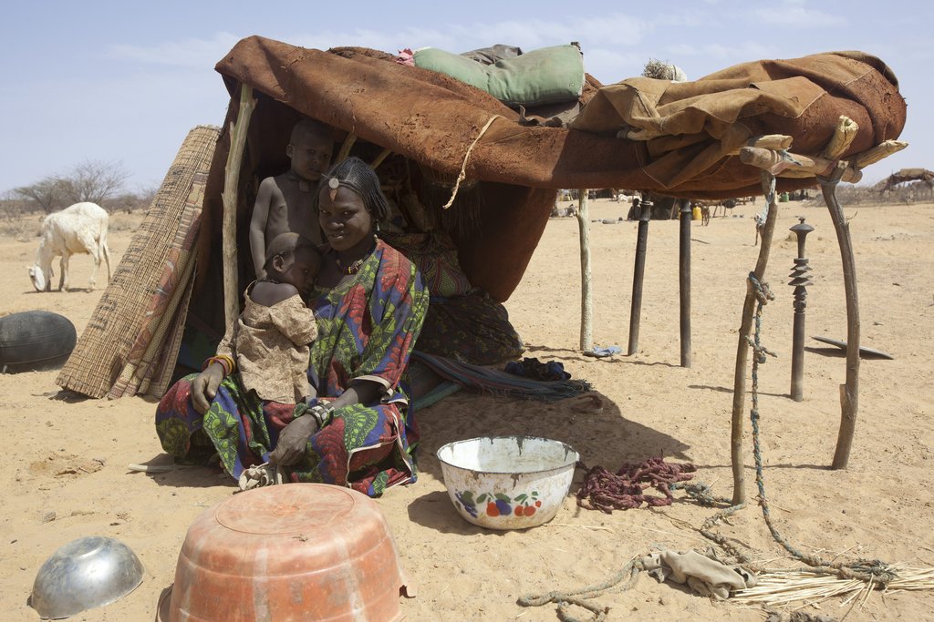Help Malian Refugees Fleeing into the Sahel