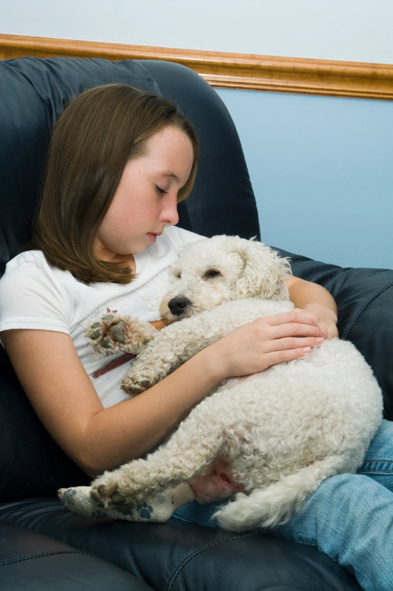 Purple Paw-Helps Domestic Violence Victims & Pets