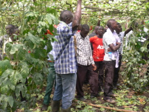 Some of the CFs during the exposure visits