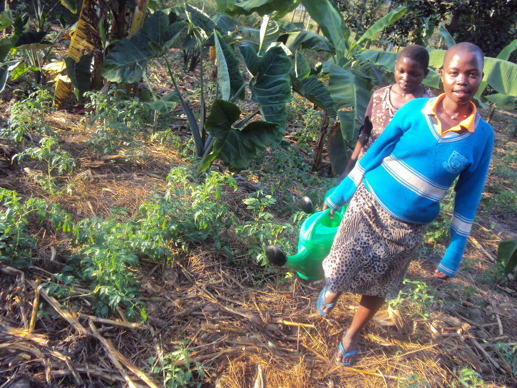 Uganda: Empowering Orphans to Become Entrepreneurs