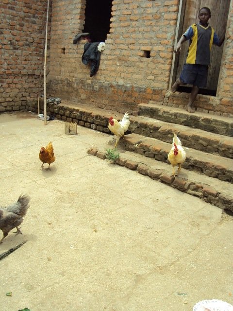 Uganda: Empowering Orphans to Become Entrepreneurs