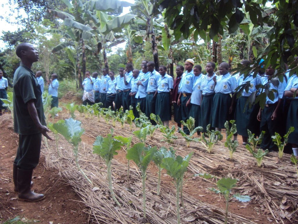 Uganda: Empowering Orphans to Become Entrepreneurs