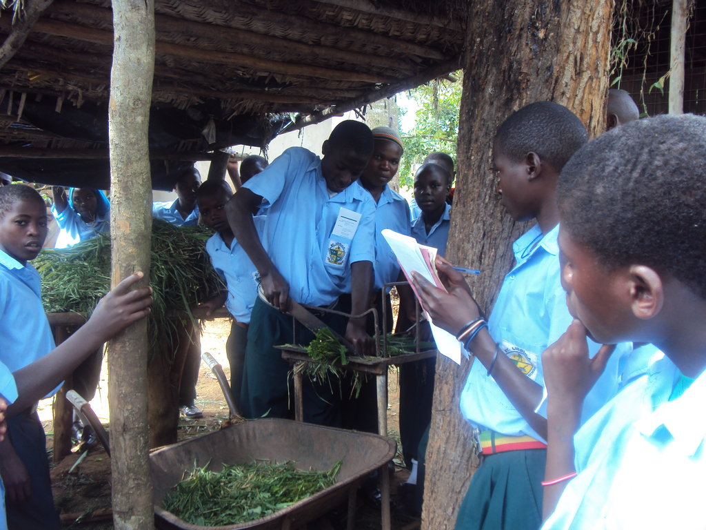 Uganda: Empowering Orphans to Become Entrepreneurs