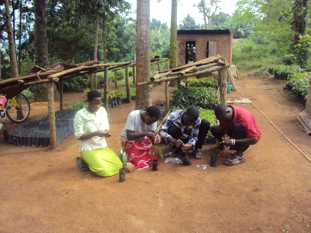 Uganda: Empowering Orphans to Become Entrepreneurs