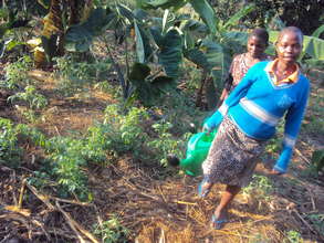 Trainee of Kitovu Mobil Farm School