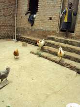 Orphans & Vulnerable Children