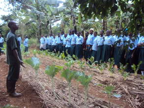 Kitovu Mobile Farm School