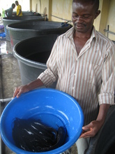 Fish from the on-site fish farm!