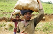Send 85 Children to School for 1 Year in Cameroon
