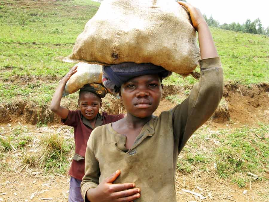 Send 85 Children to School for 1 Year in Cameroon