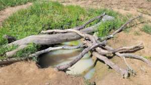 Drinking water - Simukumbwa Village