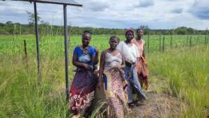 Crops and Vegetable Growing - Musokotwane Women