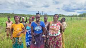 Sustainable Food Security Project - Musokotwane