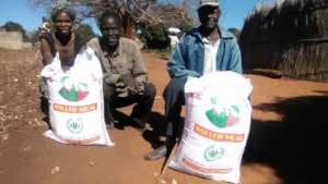 Distribution of ground maize - Kamwi Village
