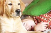 Protecting Pets in Domestic Violence Crisis