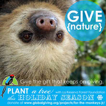 GIVE {nature}
