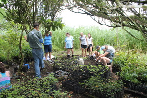 La Reserva nursery w/volunteers working