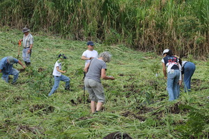 Planting at La Reserva, Costa Rica