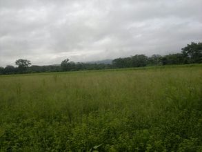 Area to be planted at Angel's