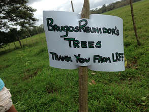 One more tree planted