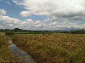 A creek leading to the wetlands from Alvaro's farm