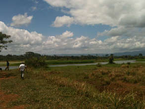 Cano Blanco wetlands, part of the restoration area