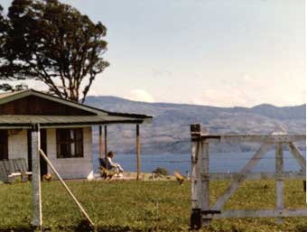 La Reserva 1984, look no trees anywhere