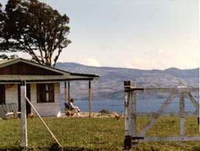 La Reserva 1984, look no trees anywhere