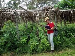 Doing inventory at the Chimurria property