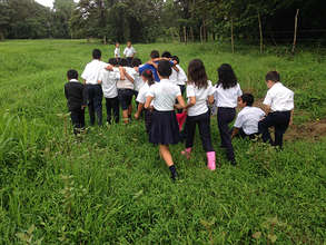 Tree planters heading o