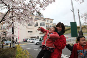 Cherry blossom (Sukagawa, Fukushima - 22 Apr 2012)