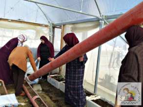 Participants do all the hard work by themselves