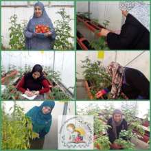 All kinds of vegetables growing in the gardens