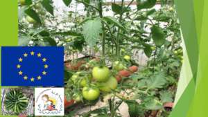 Rooftop Greenhouses with logos