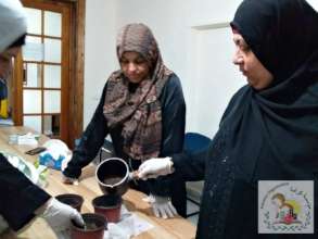 Greenhouses can benefit from many home remedies