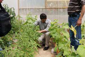 Progress on the roofs