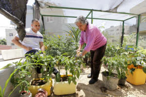 Young and old together in the rooftop gardens