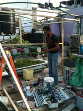 Extra support is created around the gardens