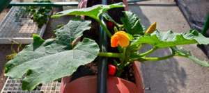 Beautiful view in the gardens last months