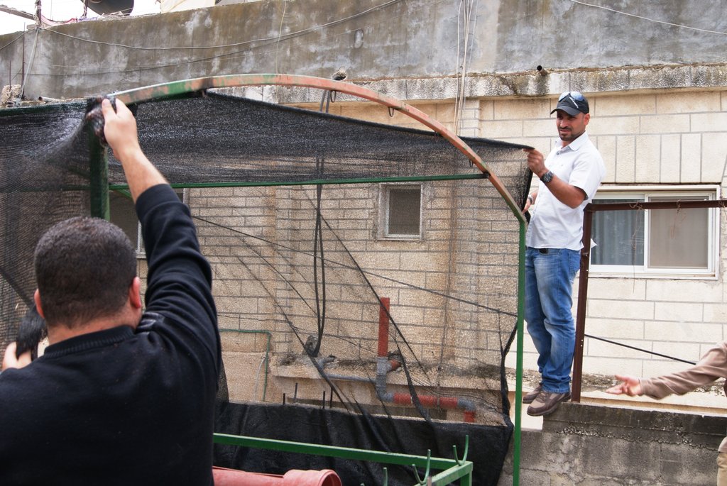 Rooftop Micro Farms for Refugee Women in Deheishe