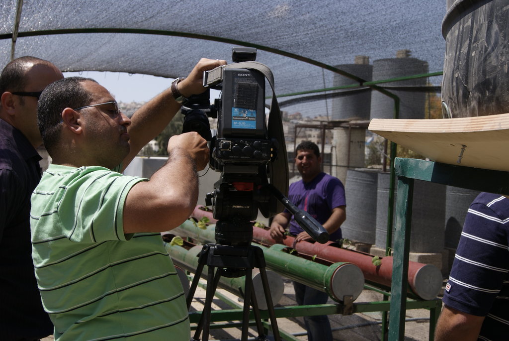 Rooftop Micro Farms for Refugee Women in Deheishe