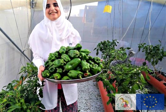 Rooftop Micro Farms for Refugee Women in Deheishe