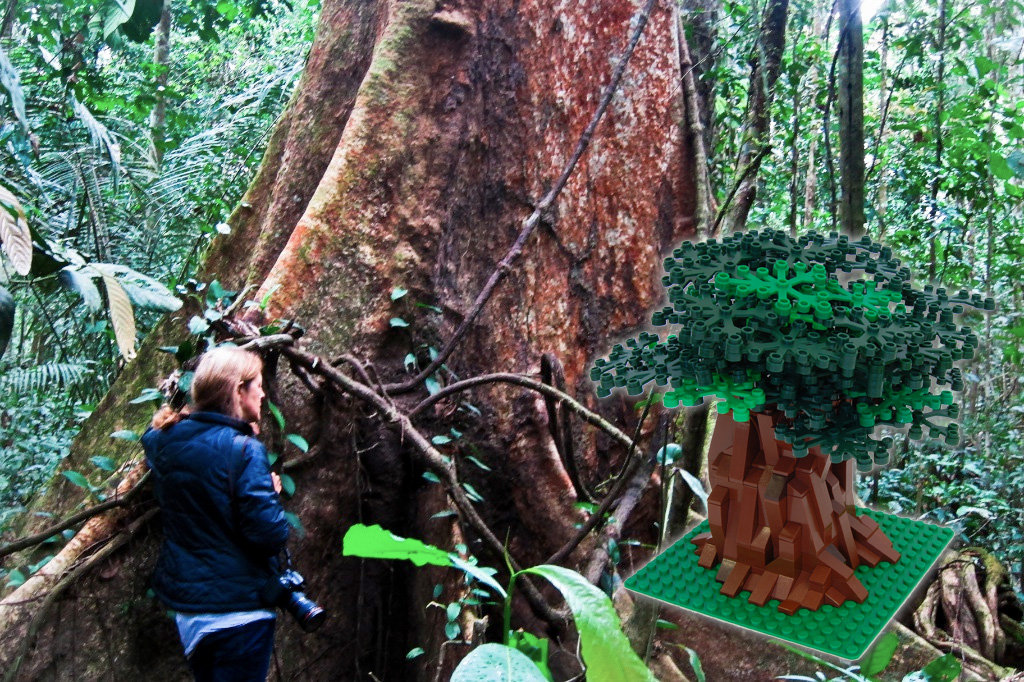 Bricks for Good Fund