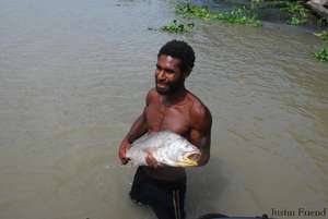 Sepik River, PNG
